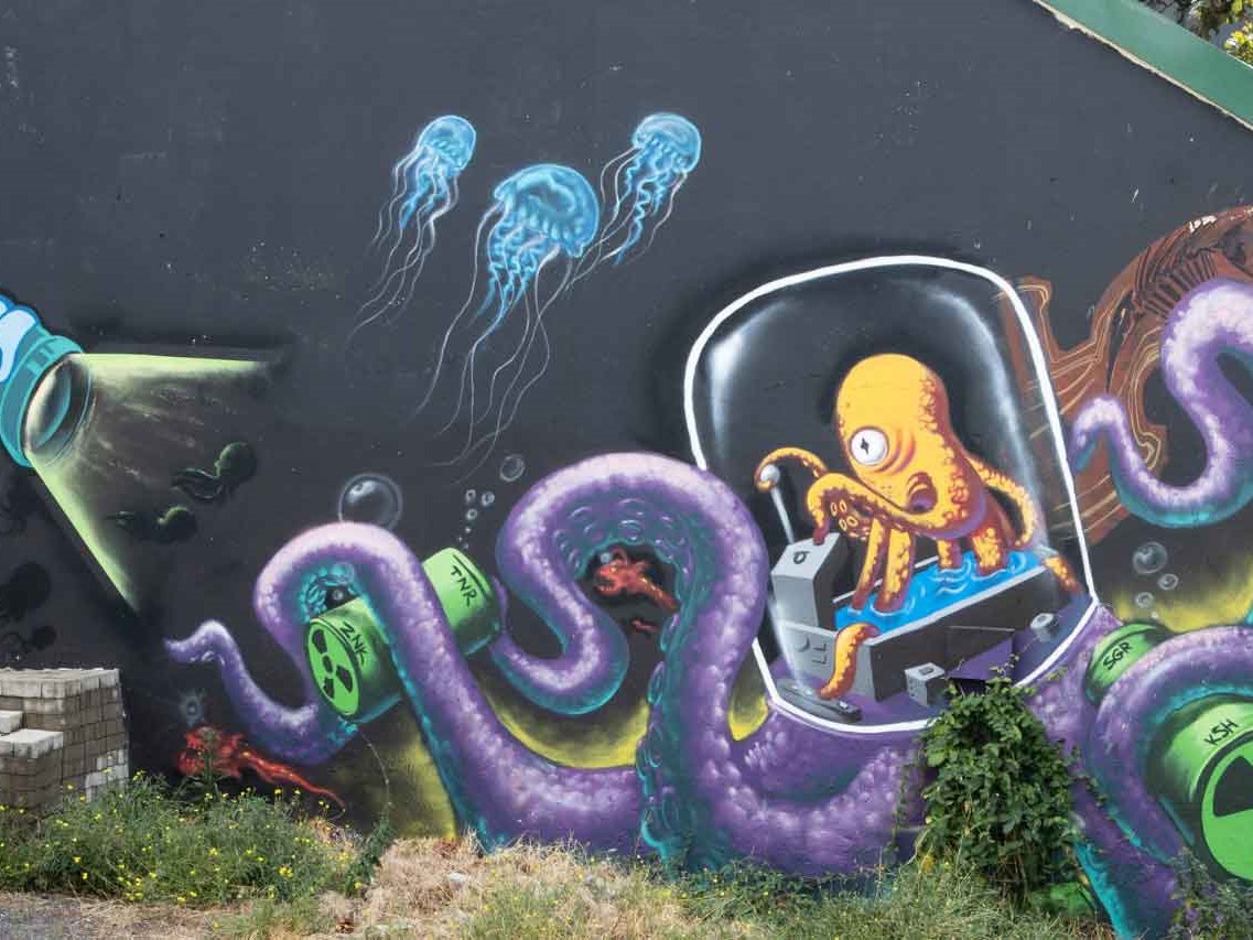 Street Art in Cape Town Central & Salt River